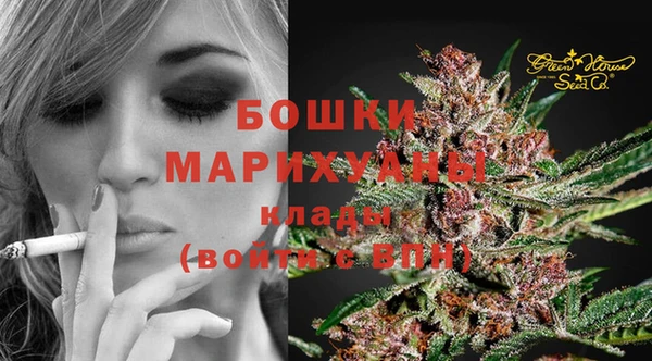хмурый Арсеньев