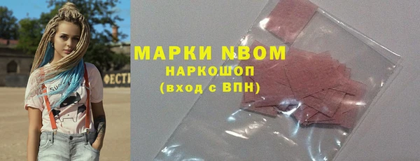 хмурый Арсеньев