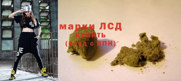 хмурый Арсеньев
