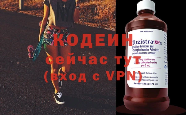 хмурый Арсеньев