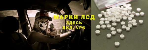 хмурый Арсеньев