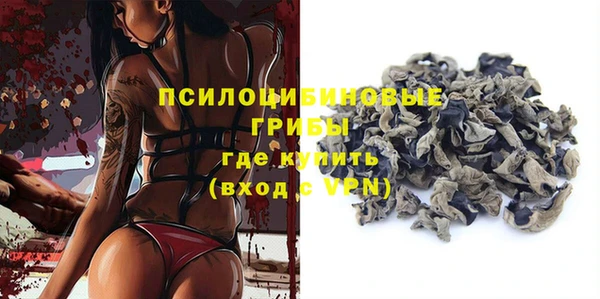 дживик Аркадак