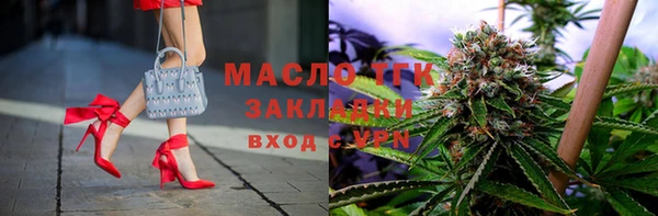 хмурый Арсеньев