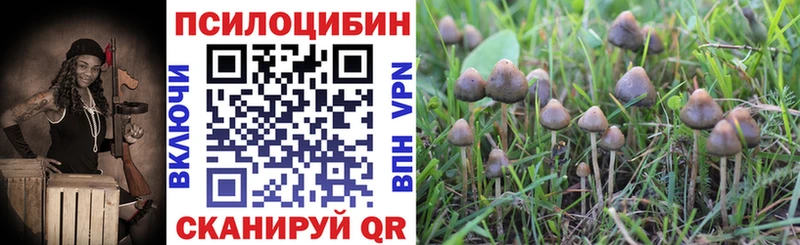 купить наркотик  Сосновка  blacksprut ссылка  Псилоцибиновые грибы Magic Shrooms 